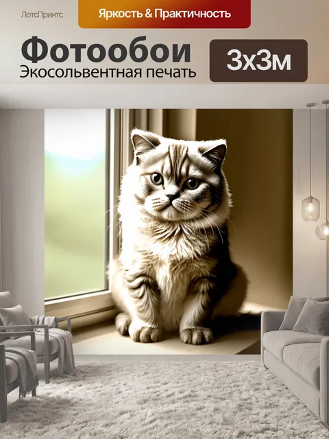 Фотообои промт: "шотландская вислоухая кошка сидит на окне, наслаждаясь солнечными лучами
