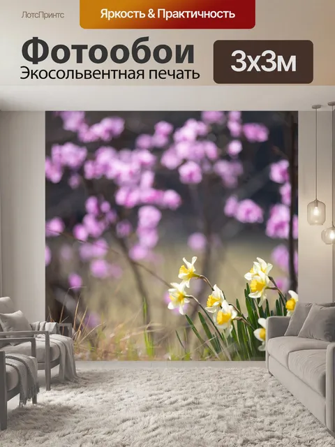 Фотообои Нарциссы