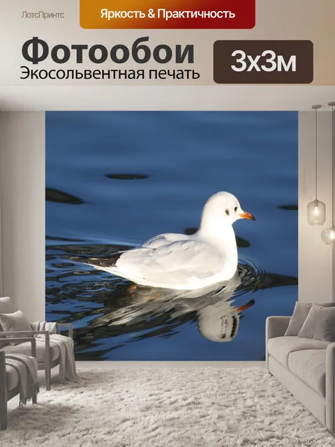 Фотообои Птица