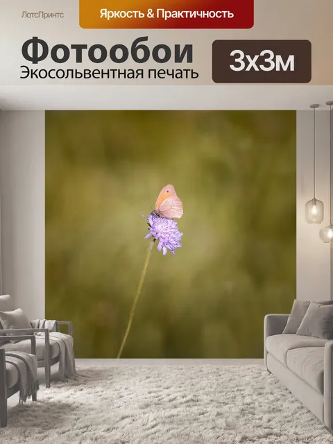 Фотообои Большой бычий глаз
