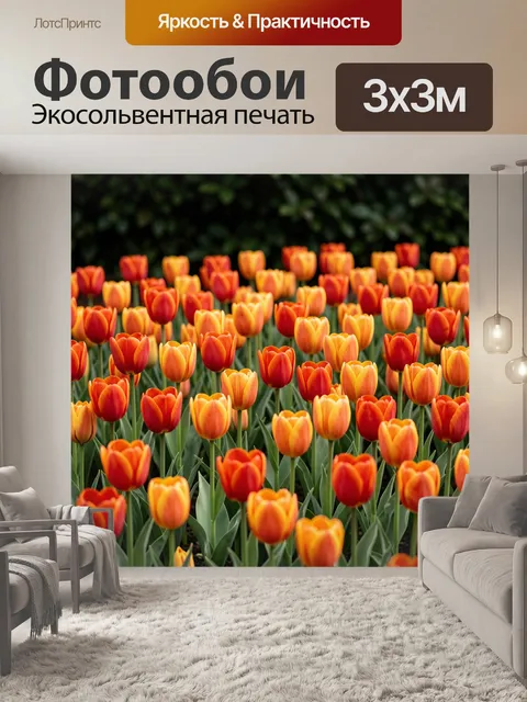 Фотообои Поле красно-жёлтых тюльпанов