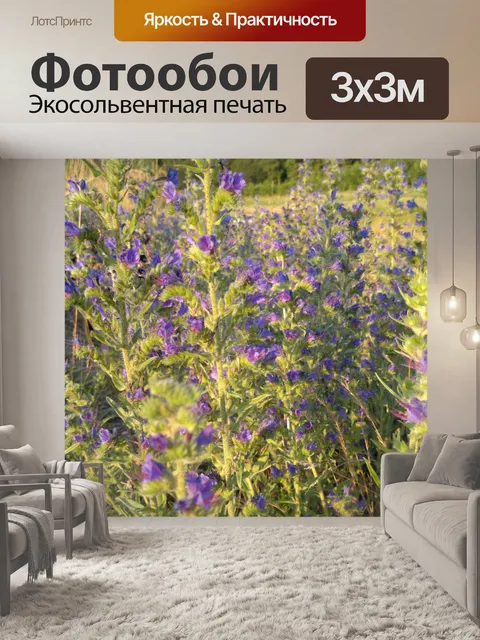 Фотообои Фиолетовый синие цветы