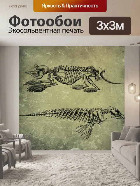 Фотообои скелеты животных
