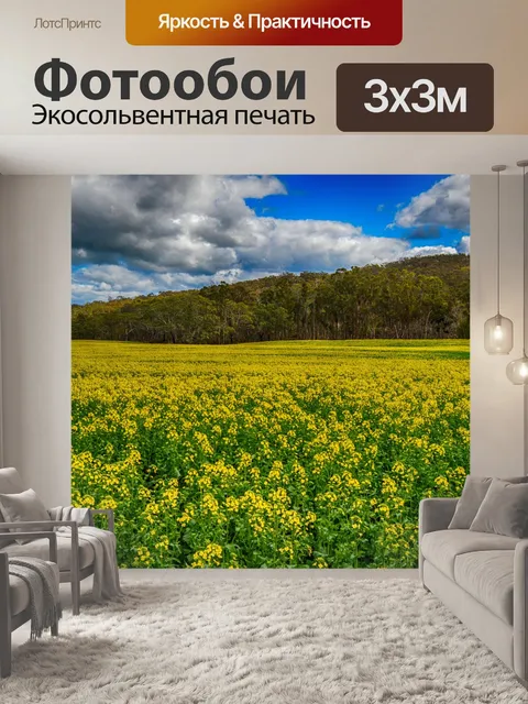 Фотообои Поле Канолы