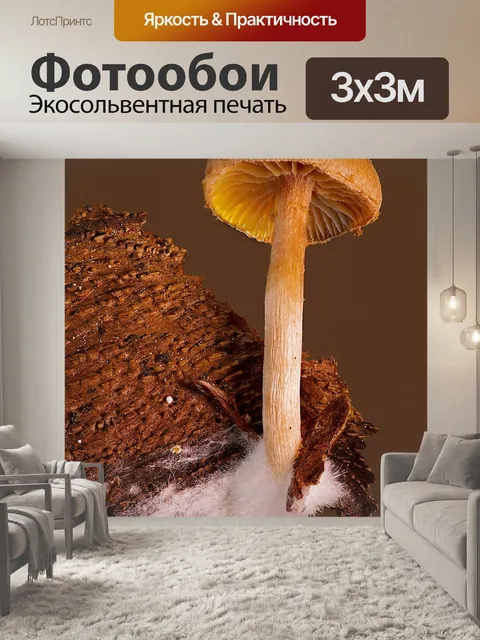 Фотообои Гриб