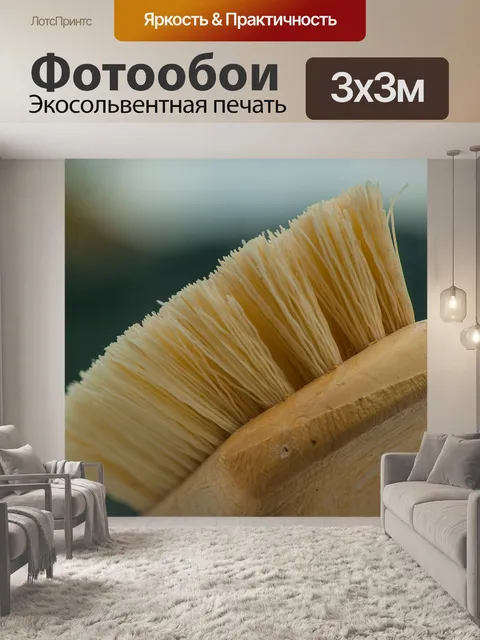 Фотообои Щетка