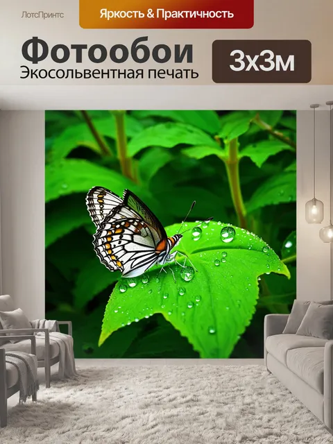 Фотообои бабочкой, сидящей на листе зеленого растения, с четко видимыми каплями росы на крыльях и окружающей листве