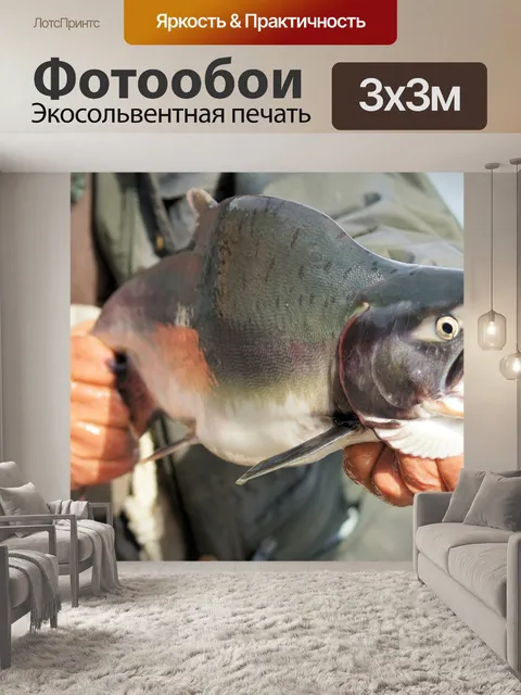 Фотообои Лосось