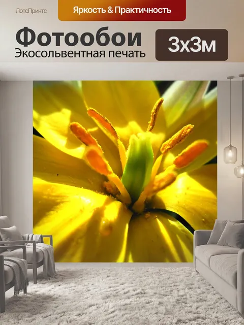 Фотообои Крупным планом