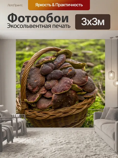 Фотообои Корзина с грибами