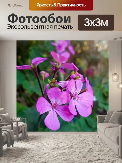 Фотообои Сад цветы розовый ромашки природа