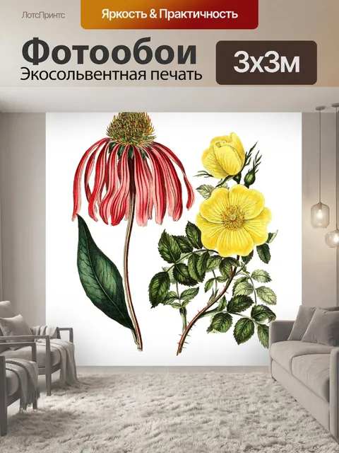 Фотообои Рудбекия Цветок Винтаж Арт