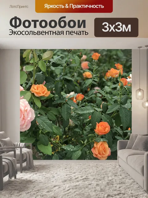Фотообои Розы