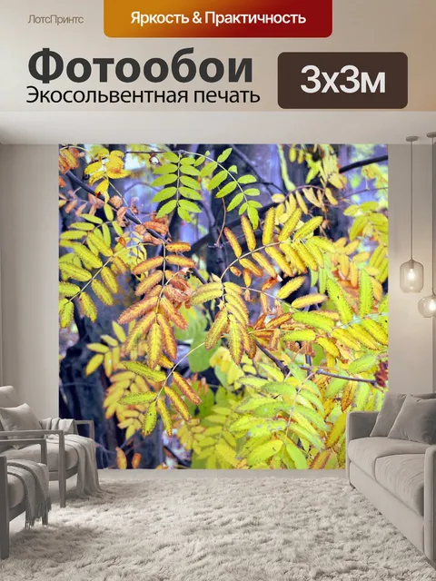 Фотообои Рябина
