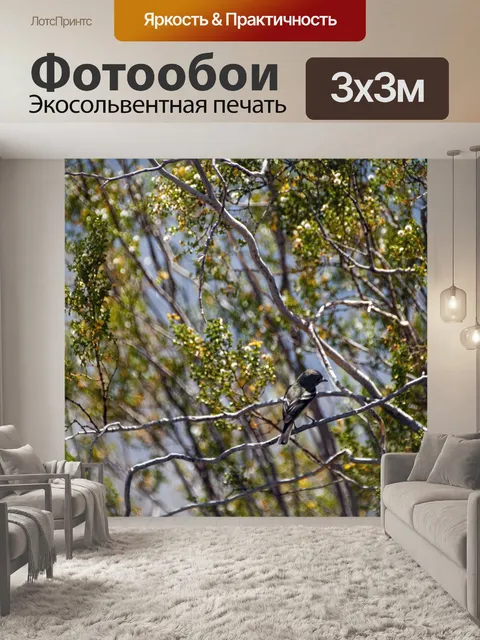 Фотообои Птица в пустынной кисти