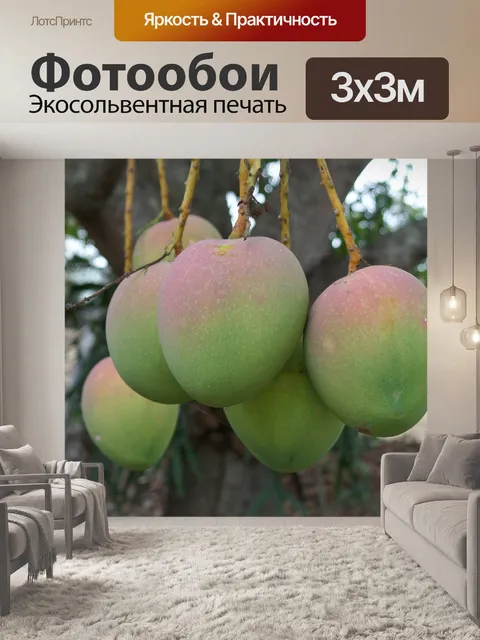 Фотообои Манго