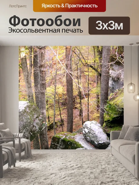 Фотообои Шони Лес Overlook1