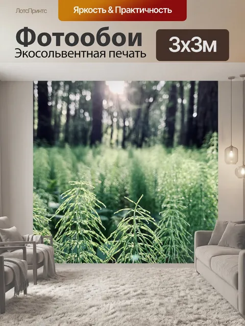 Фотообои Лес