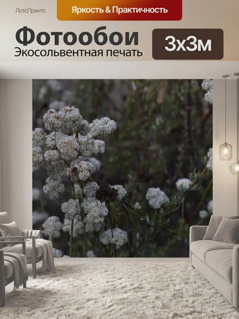 Фотообои Белый цветок и пчела
