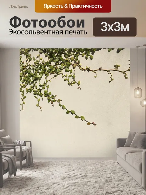 Фотообои Плющ