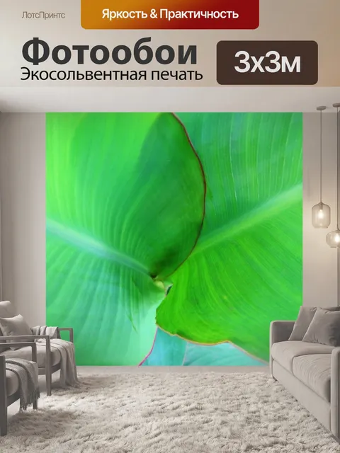 Фотообои канны листья