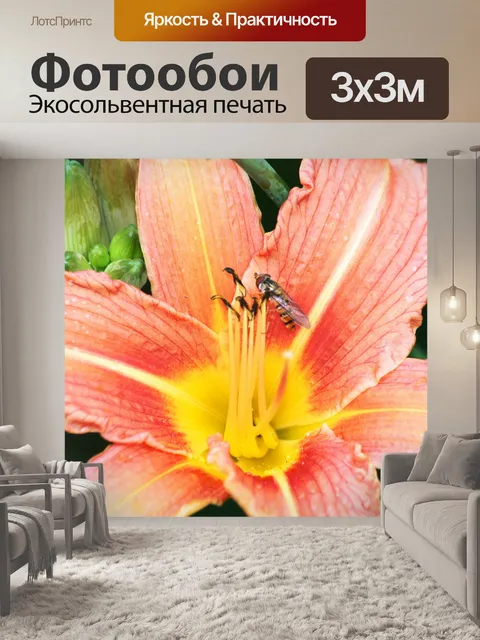 Фотообои Лили