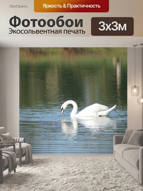 Фотообои Лебедь