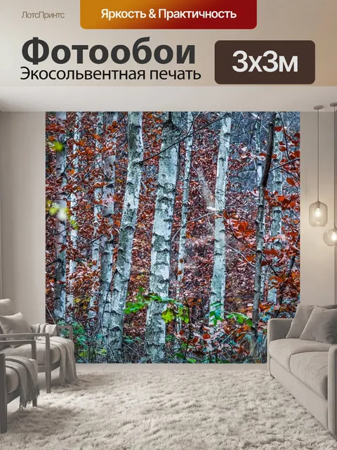Фотообои Берёза