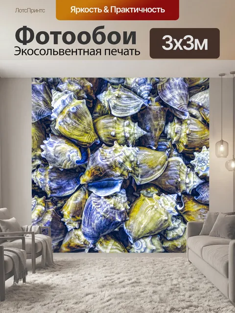Фотообои Фон морской раковины