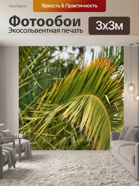 Фотообои изогнутые пальмовых листьев