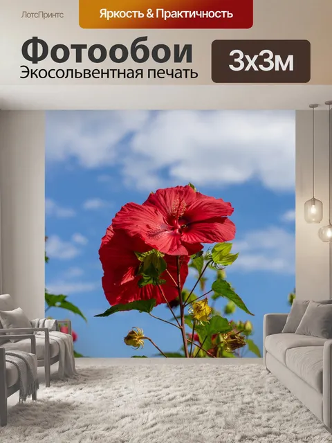 Фотообои Розы