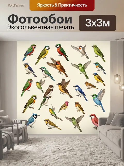 Фотообои Яркие тропические и певчие птицы