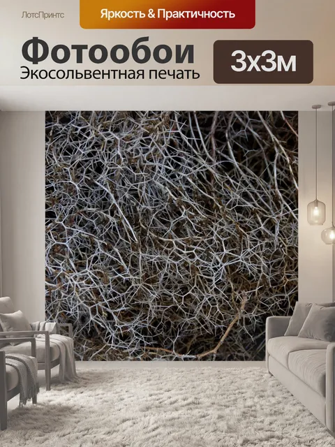 Фотообои Сухие текстурированные сорняки