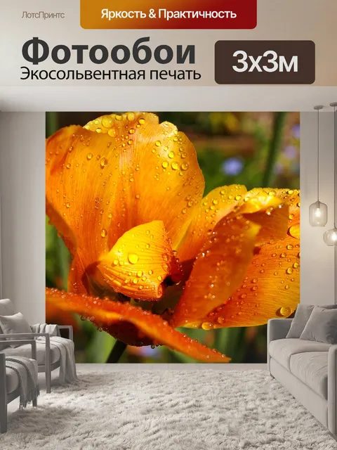 Фотообои Желтый тюльпан