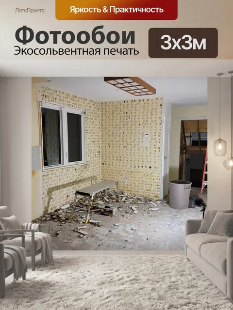 Фотообои Ремонт дома под снос