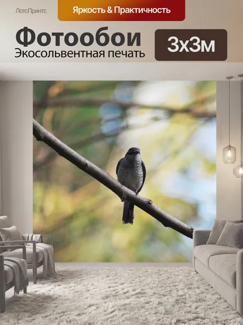Фотообои Птица Benaulim Гоа