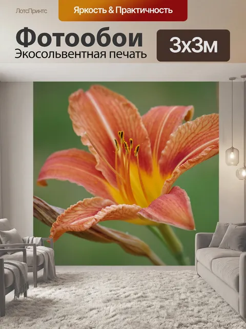 Фотообои Цветок