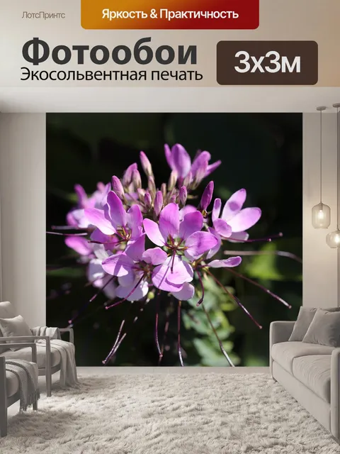 Фотообои Сад