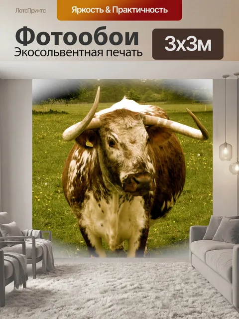 Фотообои Как много быка