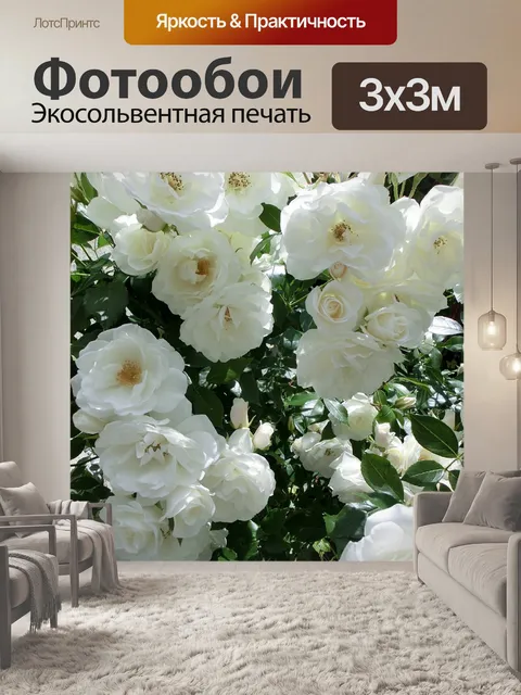 Фотообои Розы