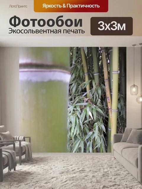 Фотообои Бамбук, зеленая листва, растительность