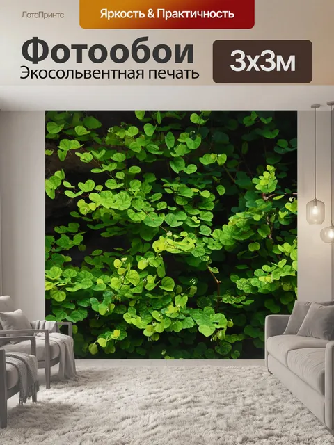 Фотообои зеленые листья на ветвях дерева