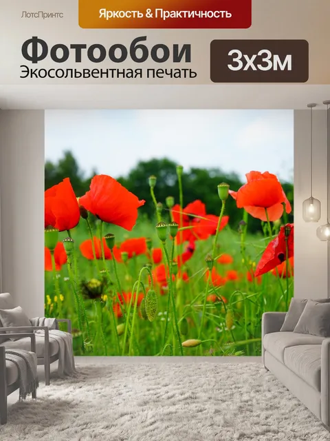 Фотообои Маковое поле