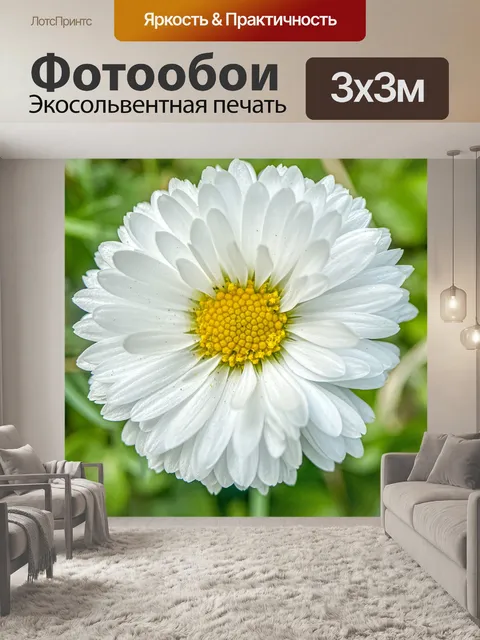 Фотообои Цветы