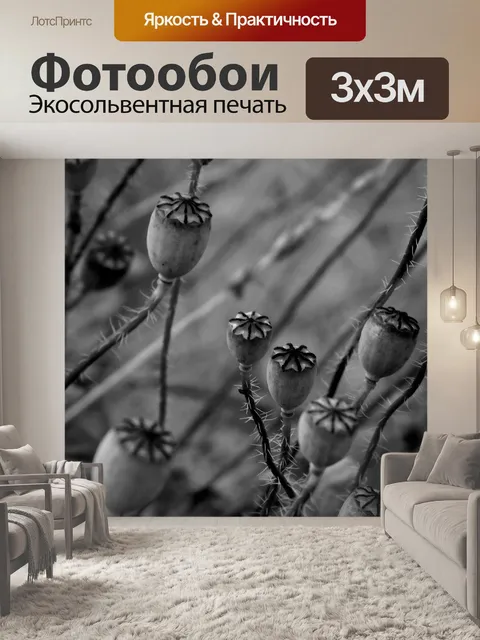 Фотообои Маковые бутоны