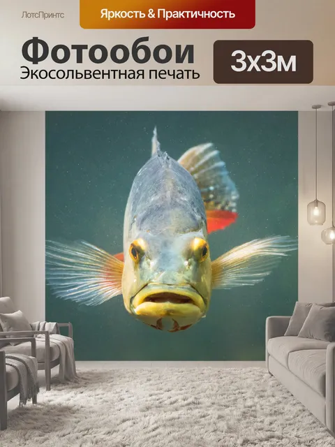 Фотообои Cichla ocellaris fish