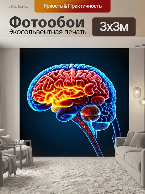 Фотообои анатомическое изображение мозга, выполненное в редком стиле научной фантастики с нетрадиционными элементами