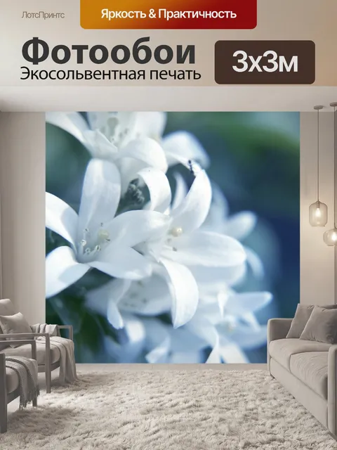 Фотообои Белые цветы 2