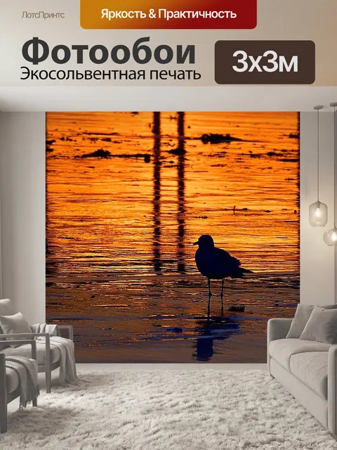 Фотообои Чайка Силуэт на закате
