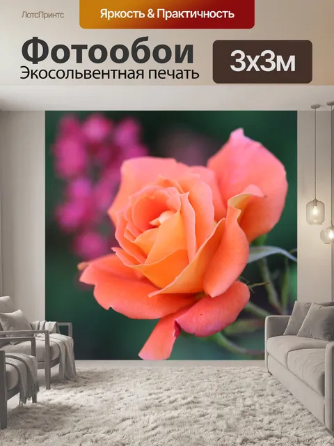 Фотообои Роза